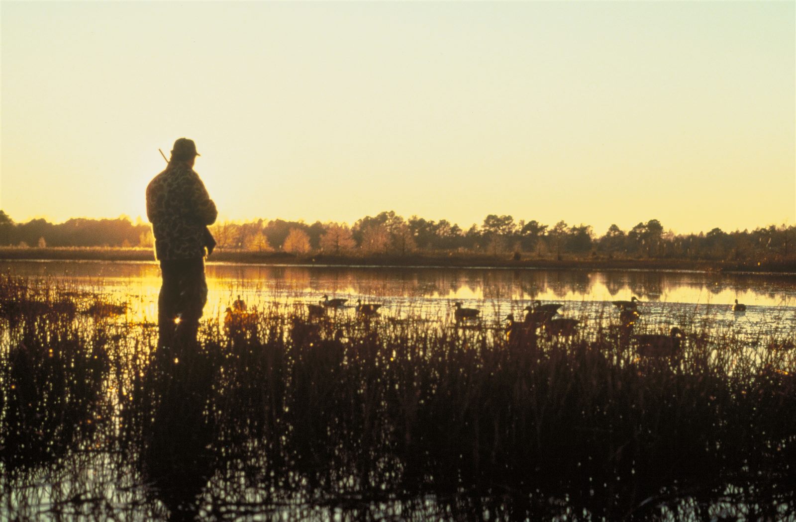 A hunter outdoors at sunrise
